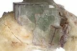 Purple Edge Fluorite Crystal Cluster - Qinglong Mine, China #205475-2